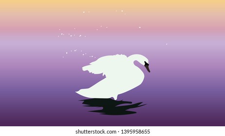 Swan vector illustration on the sunset background