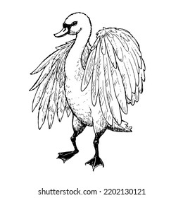 Schwan-Vektorgrafik auf weißem Hintergrund