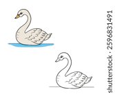 swan vector illustration. Simple drawing. Cartoon. Easy to edit. 