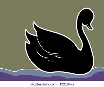  swan in water	