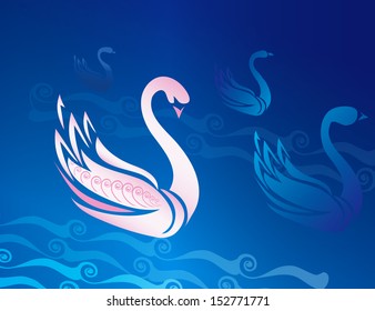 Swan in water