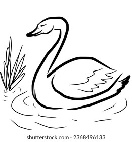 Der Schwan im Vektorbild des Wassers