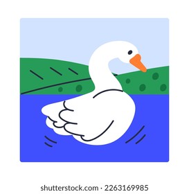 Swan, wild olor swimming in lake water in nature. Peaceful feathered bird floating in river, pond outdoors.Winged graceful animal. Childish flat vector illustration