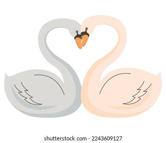 swans animals couple love characters