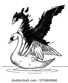 Swans black and white tattoo silhouette. Yin Yang. Abstract bird