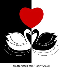 Swans, couple birds and heart vector illustration for Valentine's day greeting card design