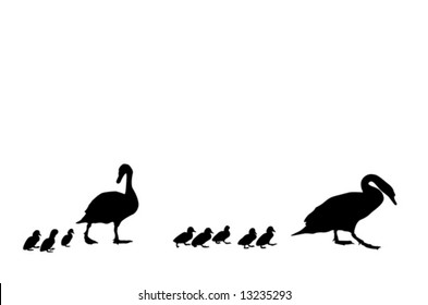 swan's family crossing the road, elements for designer