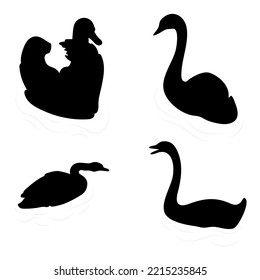 Swans floating silhouettes design. Goose, geese. Wild birds