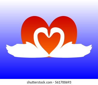 Swans forming a heart