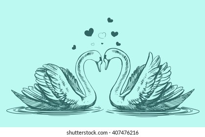 Swans. Hand drawn vector illustration. Isolated on white background