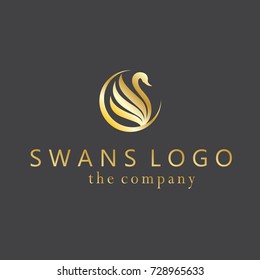  swans ideas design vector illustration graphic on background
