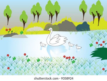 Swans in the lake