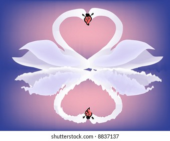 Swans in love creating a heart shape in the center