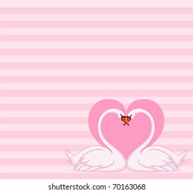 Swans love letter