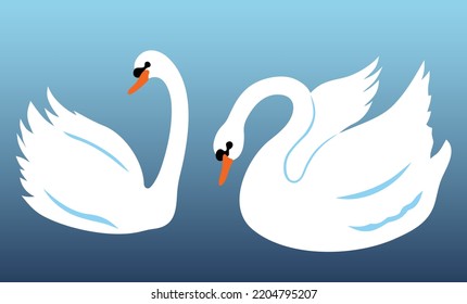Swans on the blue water background