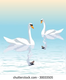 swans on the lake