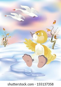 Swans in winter 