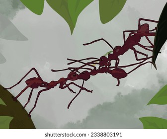 a swarm of ants forms a bridge in the leaves