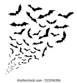 Swarm of bats on the white background.