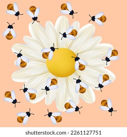 A swarm of bees collects honey in the apiary. Vector 3d illustration. The insect pollinates white chamomile or daisy flowers. Yellow meadow, environment. Bees collecting pollen. Beekeeping banner.