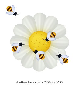 A swarm of bees collects honey in the apiary. The insect pollinates white chamomile, daisy, gerbera flowers. Vector 3d illustration, banner. The concept of the process of teamwork together.