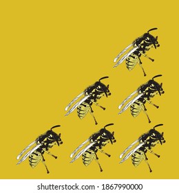 a swarm of bees flies for nectar