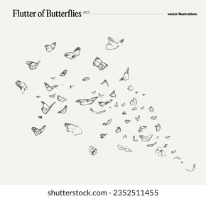 Swarm of butterflies, hand drawn vector illustration, realistic drawing, sketch