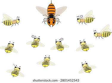 A swarm of honeybees surrounding and intercepting an attacking hornet