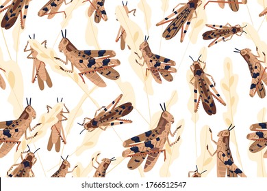 Swarm of locusts attacking rice crop seamless pattern. Grasshoppers on ripe seed head vector illustration. Parasites destroy natural herbs. Agricultural plague. Insects threatening food security