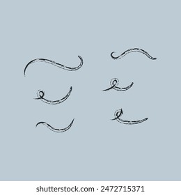 Swashes swoops and swishes calligraphy signs. Underlines hand drawn strokes. Vector symbols set eps 10.


