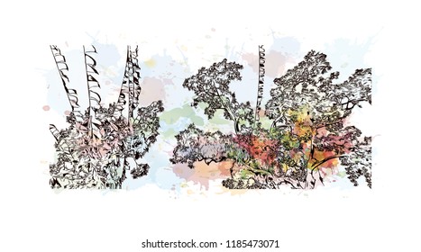 Swayambhunath is an ancient religious architecture atop a hill in the Kathmandu Valley, west of Kathmandu city. Watercolor splash with Hand drawn sketch illustration in vector.