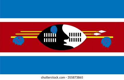 the Swaziland flag