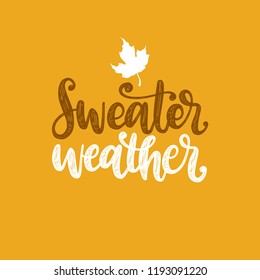 Sweater Weather, hand lettering. Vector illustration with maple leaf. Autumn holidays background.