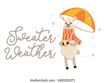 Sweater weather inspirational autumn design with llama holdind umbrella and wearing scarf. Cute alpaca illustration with lettering typography. Fall vector illustration or print.