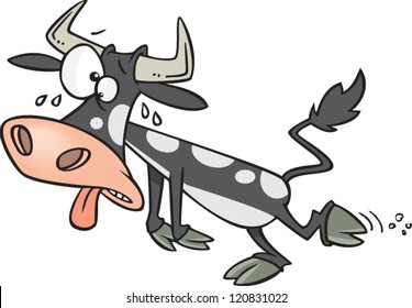sweating cartoon cow panting