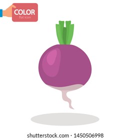 Swede vegetable color vector icon. Flat design