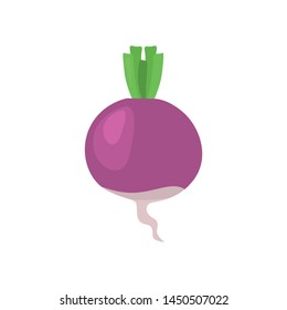 Swede vegetable color vector icon. Flat design