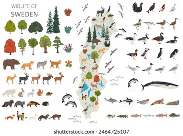 Sweden wildlife geography. Animals, birds and plants constructor elements isolated on white set. Swedish nature infographic. Vector illustration