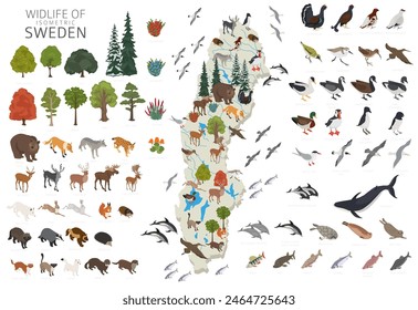 Sweden wildlife isometric geography. Animals, birds and plants constructor elements isolated on white set. Swedish nature infographic. Vector illustration