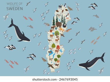 Sweden wildlife isometric geography. Animals, birds and plants constructor elements isolated on white set. Swedish nature infographic. Vector illustration