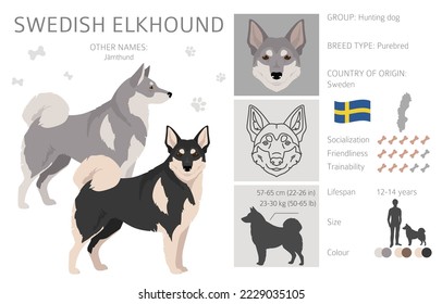 are swedish elkhounds healthy