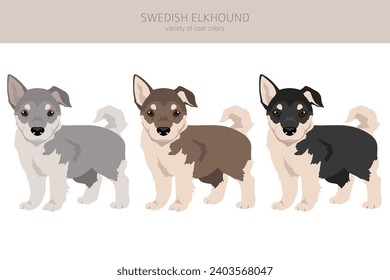 Swedish Elkhound puppies clipart. All coat colors set.  All dog breeds characteristics infographic. Vector illustration