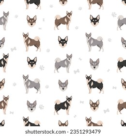 Swedish Elkhound seamless pattern. All coat colors set.  All dog breeds characteristics infographic. Vector illustration