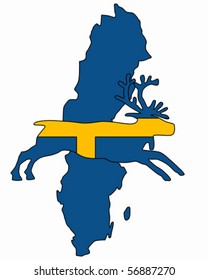 Swedish reindeer
