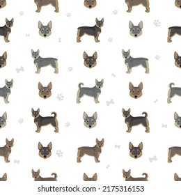 Swedish Vallhund coat colors, different poses seamless pattern.  Vector illustration