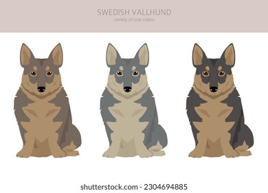 Swedish Vallhund coat colors, different poses clipart.  Vector illustration