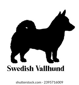 Swedish Vallhund Dog silhouette dog breeds dog monogram logo dog face vector