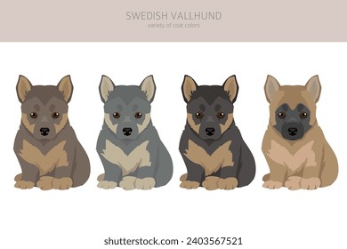 Swedish Vallhund puppies coat colors, different poses clipart.  Vector illustration