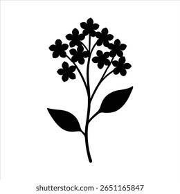 Sweet Alyssum Vector Silhouette in Minimal Clean and Simple Style Silhouette Vector Art Illustration