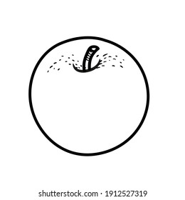 Dibujo lineal de manzana dulce sobre fondo blanco